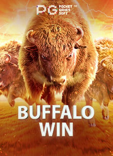 ลิ้ ง ค์ coin master ฟรีเกม โร ม่า โจ๊ก เกอร์: ความสนุกที่ต้องลอง